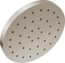 Single Function Showerhead in Lumicoat™ Stainless