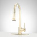Single Handle Pull Down Kitchen Faucet in Polished Brass