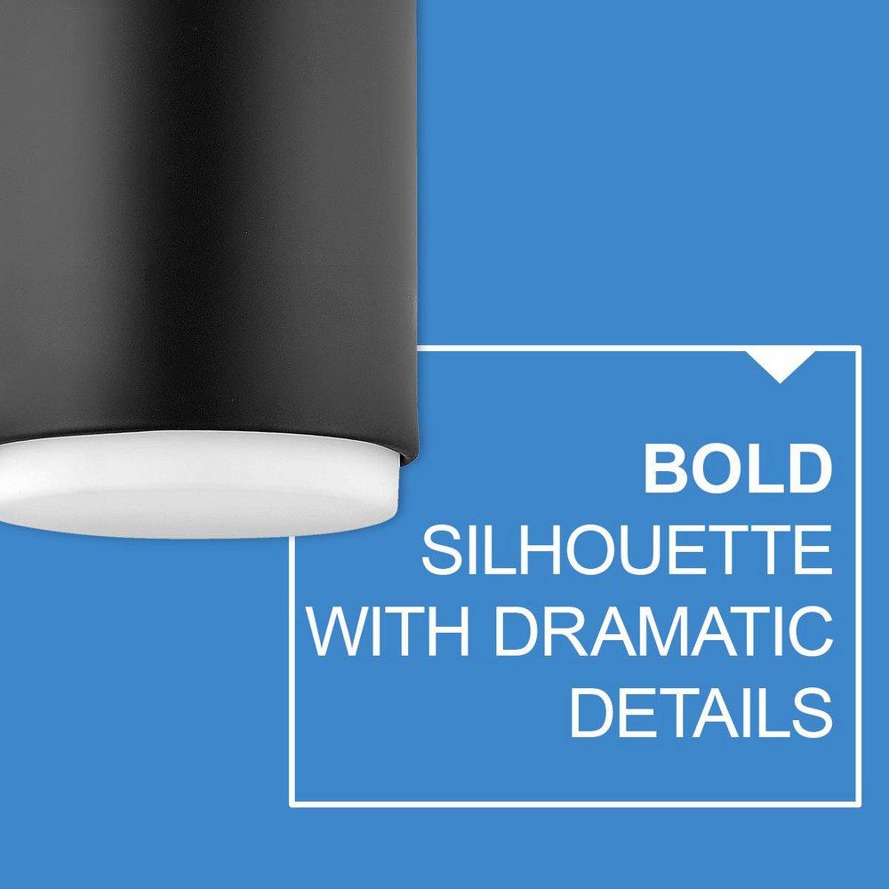 EXTRA SMALL FLUSH MOUNT 