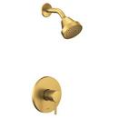 One Handle Single Function Shower Faucet in Brushed Gold (Trim Only)