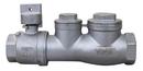 CURB STOP/SWING CHECK VALVE ASSEMBLY 316 STAINLESS STEEL 1-1/4 FNPT 
