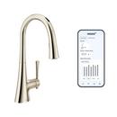 Moen Polished Nickel Single Handle Pull Down Kitchen Faucet 