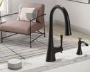 Moen Matte Black Single Handle Pull Down Kitchen Faucet 