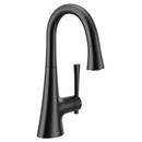 Moen Matte Black Single Handle Lever Bar Faucet 