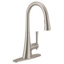 Moen Spot Resist&trade; Stainless Single Handle Pull Down Kitchen Faucet 