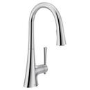 Moen Chrome Single Handle Pull Down Kitchen Faucet 