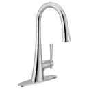 Moen Chrome Single Handle Pull Down Kitchen Faucet 