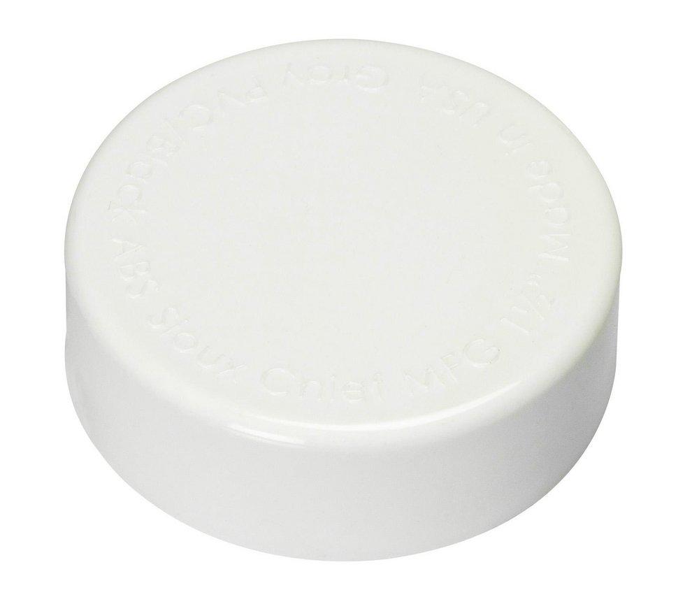1-1/2 in. PVC Test Cap in Black 