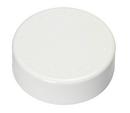 1-1/2 in. PVC Test Cap in Black 
