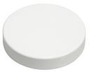 3 in. PVC Test Cap in White 