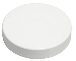 3 in. PVC Test Cap in White