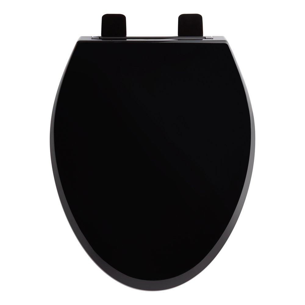 Signature Hardware Black Closed Front Toilet 