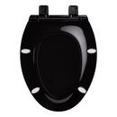 Signature Hardware Black Closed Front Toilet 