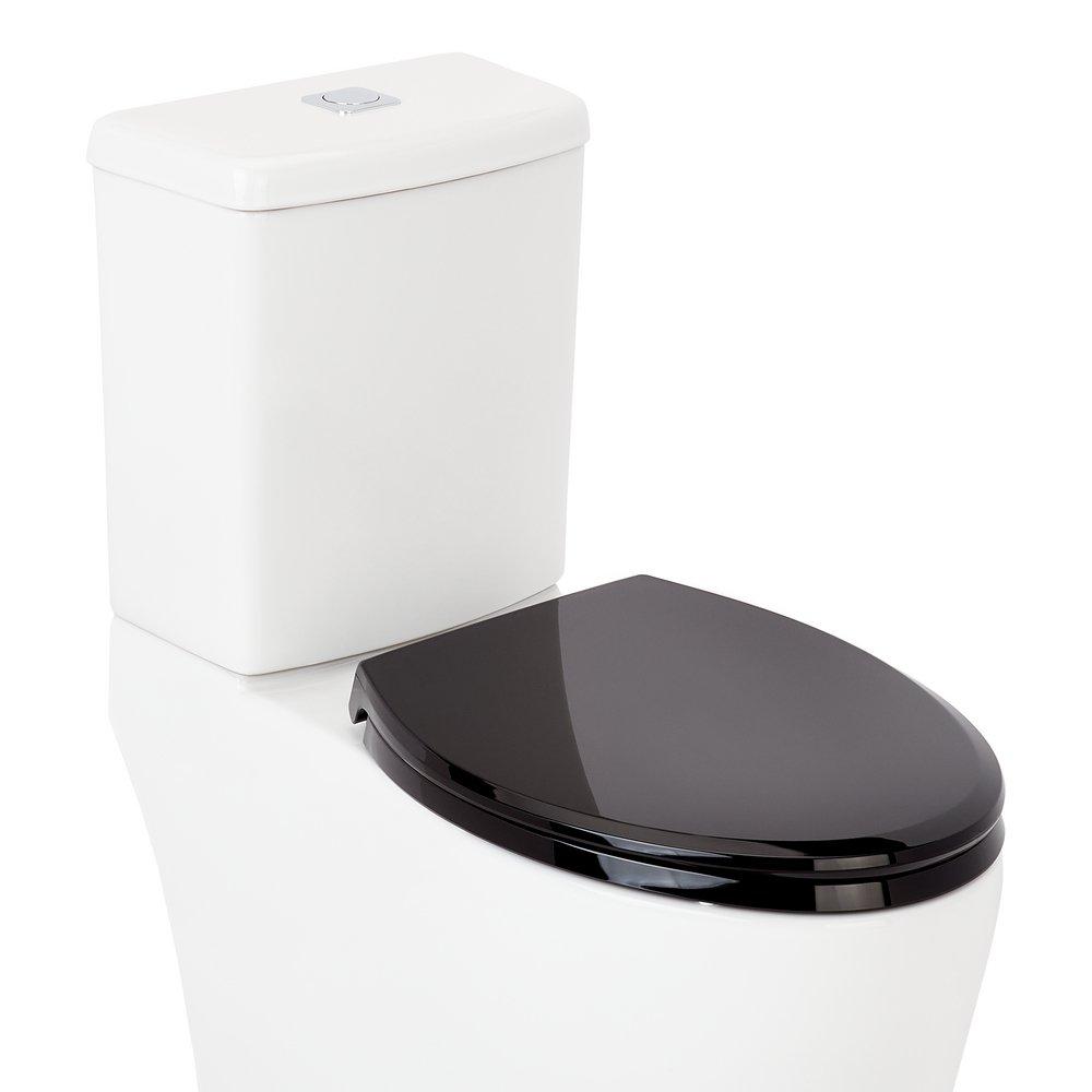 Signature Hardware Black Closed Front Toilet 