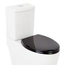 Closed Front Toilet Seat in Black