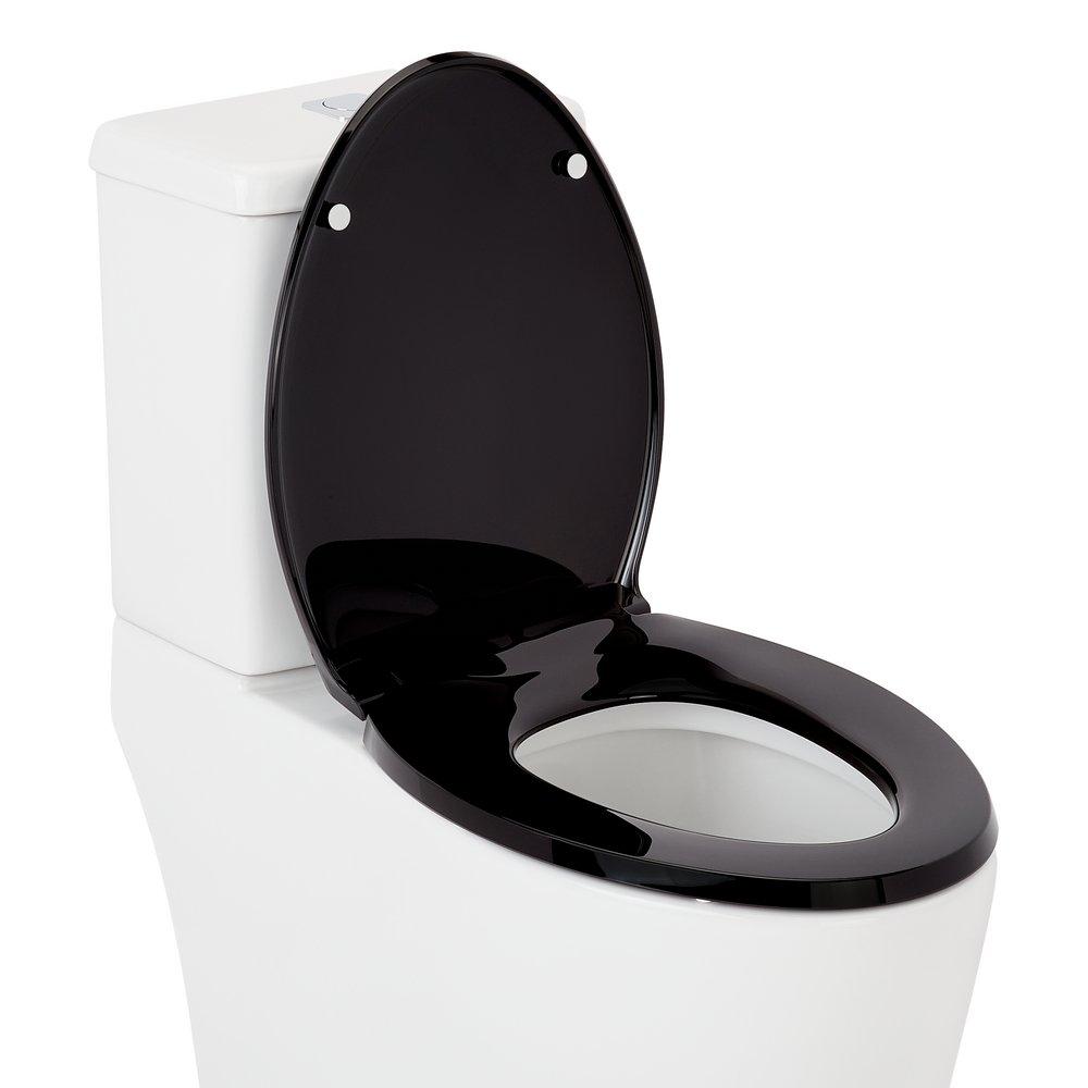 Signature Hardware Black Closed Front Toilet 