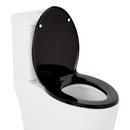 Signature Hardware Black Closed Front Toilet 