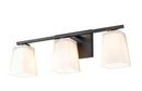 Millennium Lighting Matte Black 21 x 7 in. 300W 3-Light Vanity Fixture 