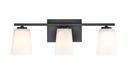 Millennium Lighting Matte Black 21 x 7 in. 300W 3-Light Vanity Fixture 