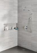 Delta Faucet Lumicoat Chrome 2-1/2 in. Brass Flange 