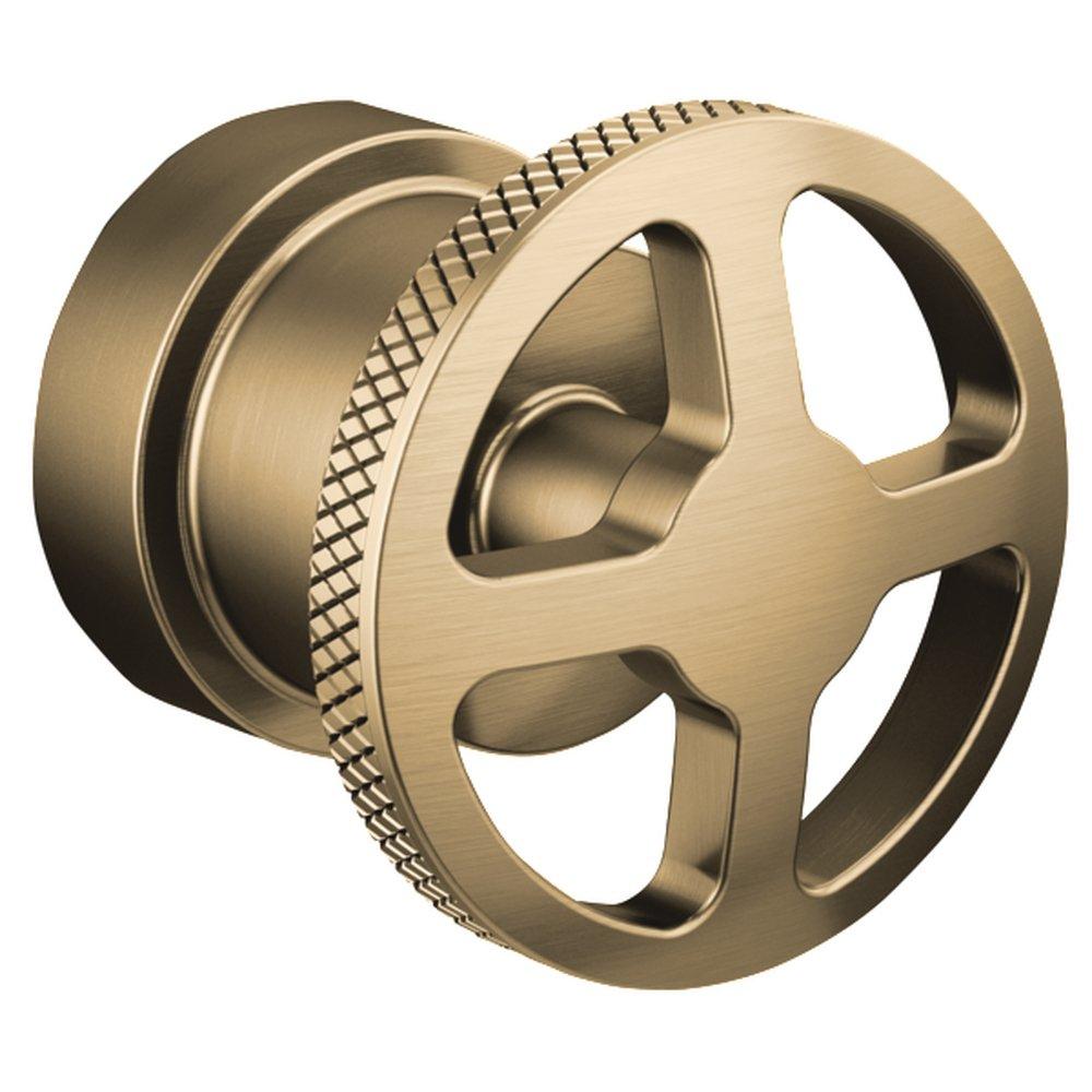 Brizo Luxe Gold Single Handle Bathtub & Shower Faucet (Trim Only) 