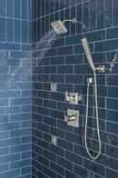 Delta Faucet Lumicoat Stainless Body Spray 