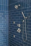 Delta Faucet Lumicoat Stainless Body Spray 