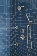 Delta Faucet Lumicoat Stainless Body Spray 