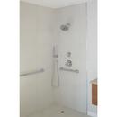 Delta Faucet Lumicoat Chrome 1/2 in. FNPT x MNPSM Brass Elbow 