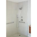 Delta Faucet Lumicoat Chrome 1/2 in. FNPT x MNPSM Brass Elbow 