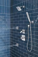 Delta Faucet Lumicoat Chrome Body Spray 