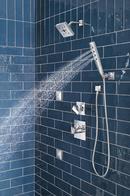 Delta Faucet Lumicoat Chrome Body Spray 