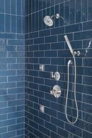 Delta Faucet Lumicoat Chrome Body Spray 