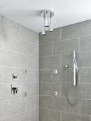 Delta Faucet Lumicoat Polished Chrome Single Function Body Spray 