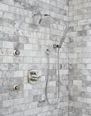 Delta Faucet Stainless 1/2 in. FNPT x MNPSM Solid Brass Elbow 