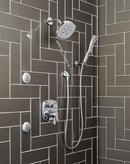 Delta Faucet Lumicoat Chrome Single Function Body Spray 