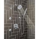 Delta Faucet Lumicoat Chrome Single Function Body Spray 