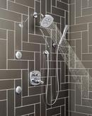 Delta Faucet Lumicoat Chrome Single Function Body Spray 