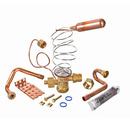 Rheem Thermal Expansion Valve 