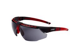 Plastic Safety Glass in Red Frame with Anti-fog and Grey Lens