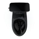 1.28 gpf Elongated Two Piece Toilet in Ebony 