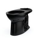 Elongated Toilet Bowl in Ebony 