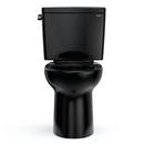 1.6 gpf Elongated Two Piece Toilet in Ebony 