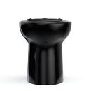 Elongated Toilet Bowl in Ebony 