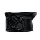 Elongated Toilet Bowl in Ebony 
