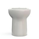 Elongated Toilet Bowl in Sedona Beige 