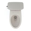 1.6 gpf Elongated Two Piece Toilet in Sedona Beige 