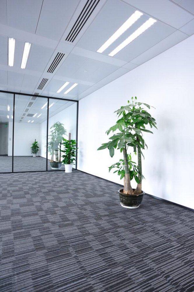 Feit Electric White 15 W LED Bi-Pin G13 (Pack of 10) 