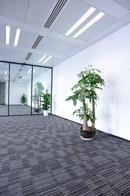 Feit Electric White 15 W LED Bi-Pin G13 (Pack of 10) 