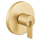 M-Core™ Single Handle Diverter Valve Trim in Brushed Gold